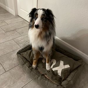 Meet your Posher, Bobby